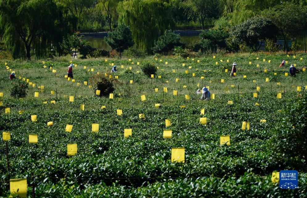 博金国际会员登录